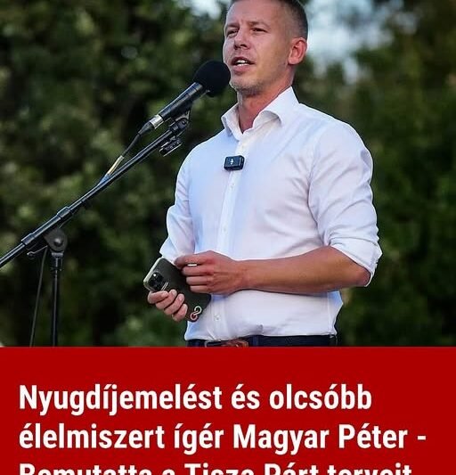 Nyugdíjemelést és olcsóbb élelmiszert ígér Magyar Péter – Bemutatta a Tisza Párt terveit