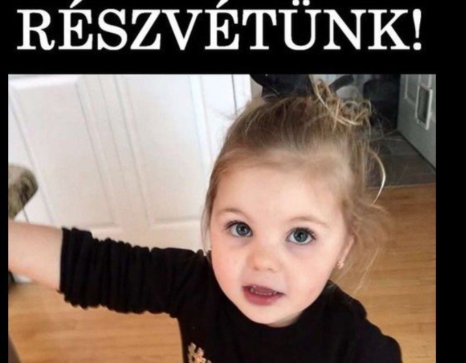 Döbbenetes tragédia híre jött pár perce! Búcsúzik a család, búcsúzik az ország! Holtan találtak rá egy szemétdombon a pár napja eltűnt két éves kis Pannikára..🖤 – RÉSZLETEK: