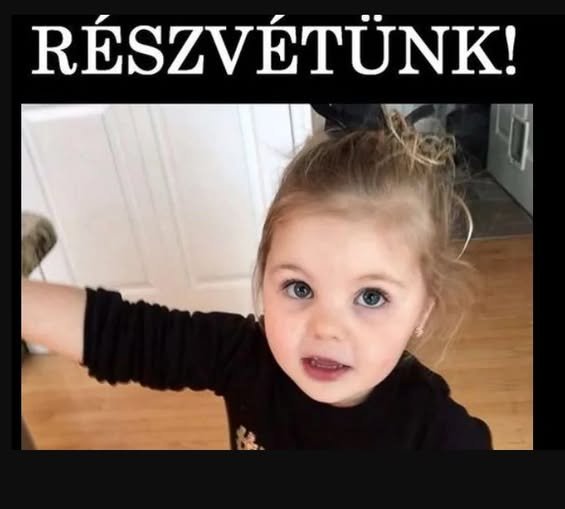 Döbbenetes tragédia híre jött pár perce! Búcsúzik a család, búcsúzik az ország! Holtan találtak rá egy szemétdombon a pár napja eltűnt két éves kis Pannikára..🖤 – RÉSZLETEK: