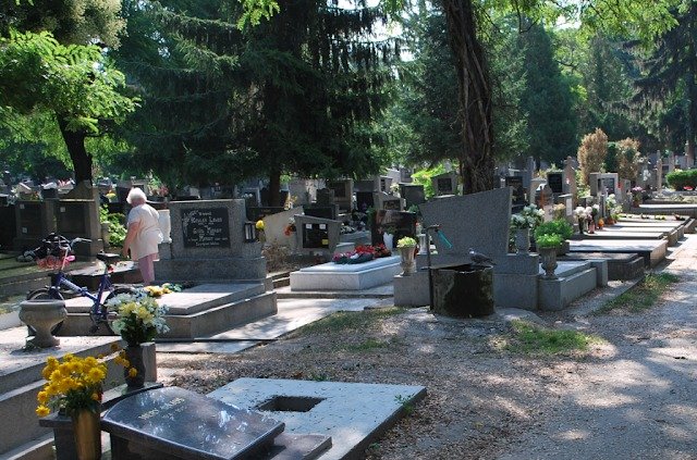 Ma kimentem a temetőbe a férjem sírjához, amikor hirtelen Erre a feliratra lettem figyelmes: 👇