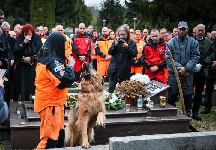 Utolsó útjára kísérték Lehoczki-Spider Lászlót..amit a kutyája tett.. szerencsére levideózták..videó lent