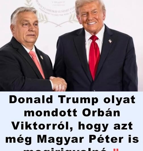 Donald Trump olyant mondott Orbán Viktorról, hogy azt még Magyar Péter is megirigyelné ‼️