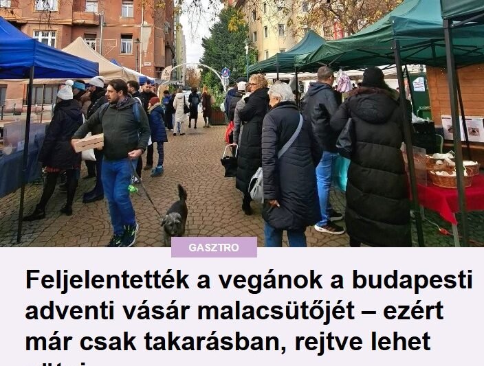 Feljelentették a vegánok a budapesti adventi vásár malacsütőjét – ezért már csak takarásban, rejtve lehet sütni