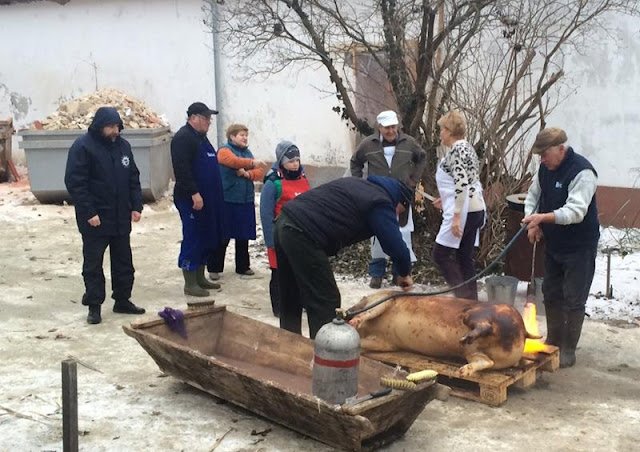 FIGYELEM! Engedély kell a házi disznóvágáshoz is! ITT a kérelem, már csak ÍGY vághat disznót: