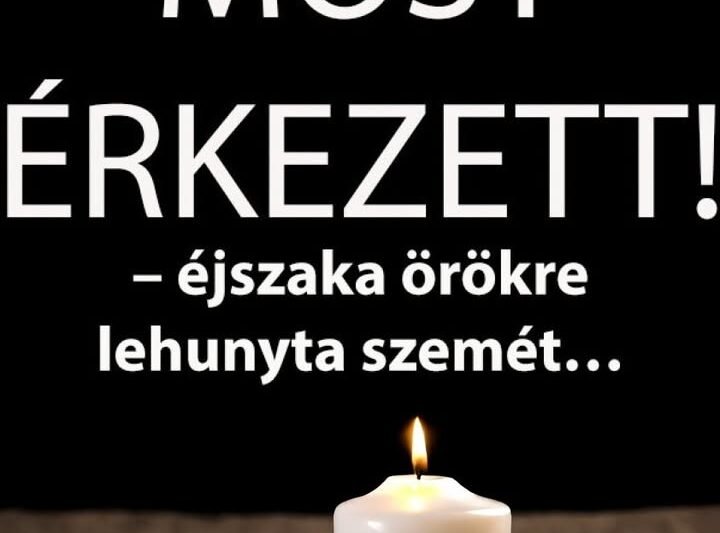 Elment Csólyospálos polgármestere