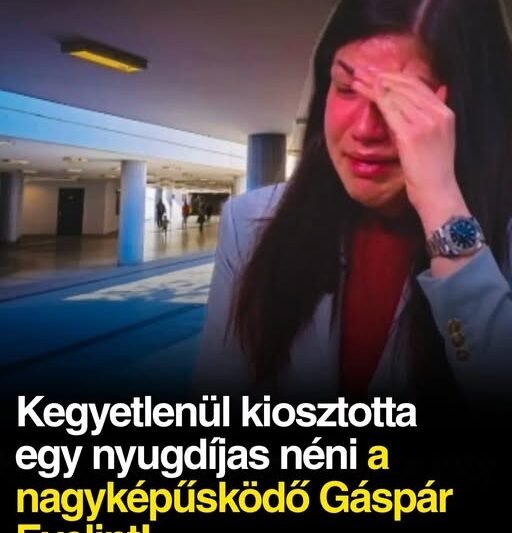 Kegyetlenül kiosztotta egy nyugdíjas néni a nagyképűsködő Gáspár Evelint!