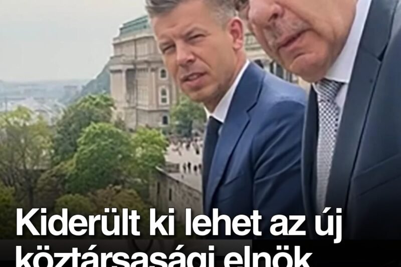 Ő lehet az új köztársasági elnök, amint lemondatják Sulyok Tamást