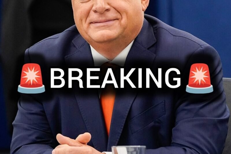 Annyi telitalálat volt a héten, mint még soha.