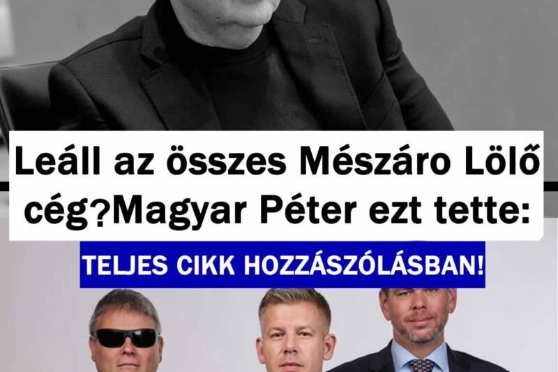 Leállhat az összes Mészáros Lölő cég?! Magyar Péter EZT tette – Döbbenetes, ami most történik: