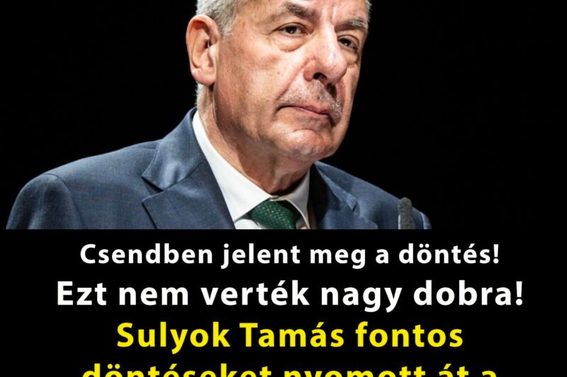 Szinte észrevétlenül lépték meg!Ezt nem verték nagy dobra! Sulyok Tamás fontos döntéseket nyomott át a kormányváltás előtt