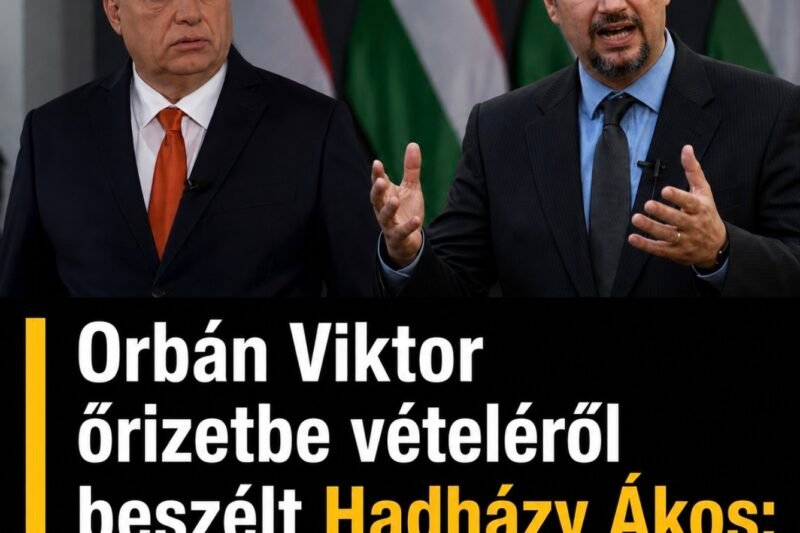 Orbán Viktor őrizetbe vételéről beszélt Hadházy Ákos: nagy kijelentést tett