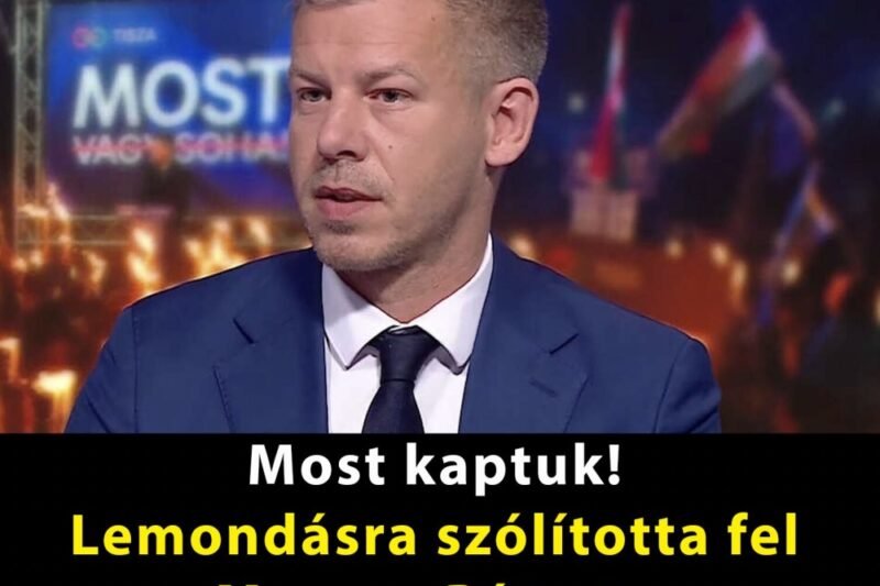 Lemondásra szólították fel Magyar Pétert