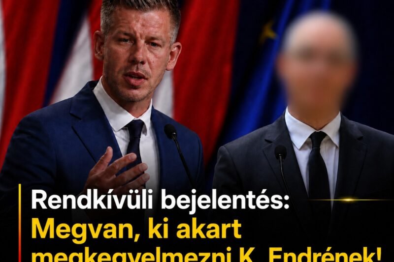 Rendkívüli bejelentést tett Magyar Péter a kegyelmi ügyben: Megvan, ki akart megkegyelmezni K. Endrének