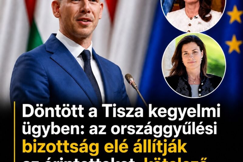 Döntött a Tisza kegyelmi ügyben: az országgyűlési bizottság elé állítják az érintetteket, kötelező lesz megjelenni