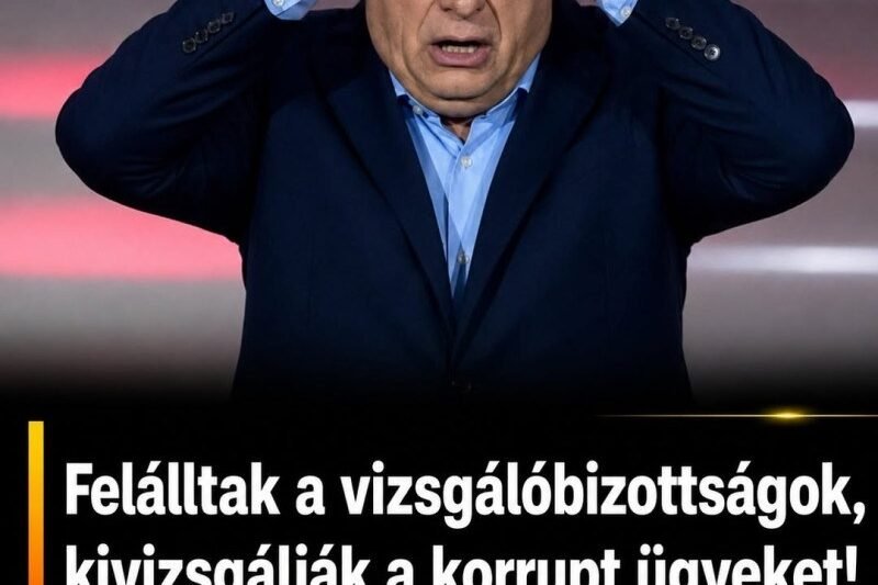 Felálltak a vizsgálóbizottságok, kivizsgálják a korrupt ügyeket