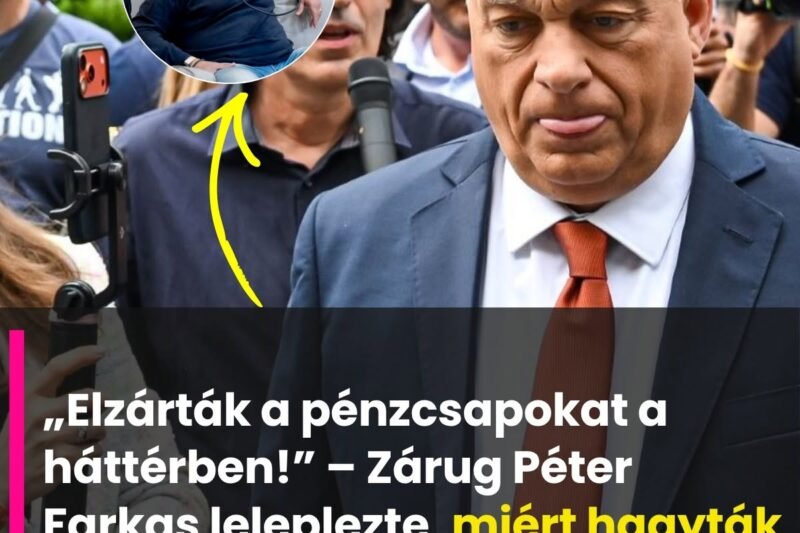 „Nincs remény a visszatérésre!” – Zárug Péter Farkas szerint ezért hagyták magára Orbán Viktort a milliárdosai