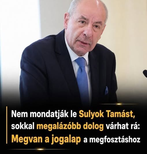 Nem mondatják le Sulyok Tamást, sokkal megalázóbb dolog várhat rá: Megvan a jogalap a megfosztáshoz