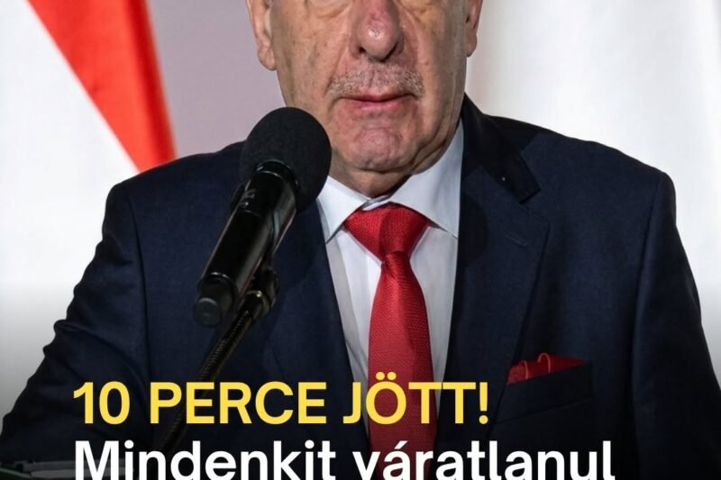 10 PERCE JÖTT! Mindenkit váratlanul ért Sulyok Tamás döntése
