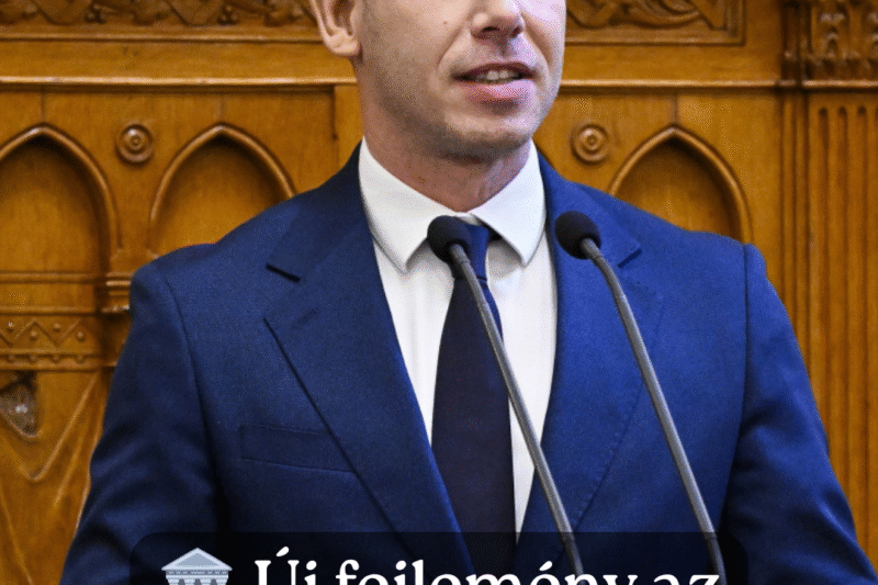 Magyar: Ha Sulyok 5 napon belül nem írja alá az alaptörvény-módosítást, megfosztási eljárás indul ellene