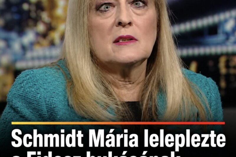 Schmidt Mária megtalálta a Fidesz bukásának felelősét – MindenegybenBlog