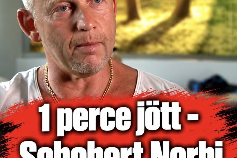 Ezt képtelenség felfogni! Megszakadt az ország szíve! Schobert Norbi drámai bejelentést tett közzé percekkel ezelőtt: – MindenegybenBlog